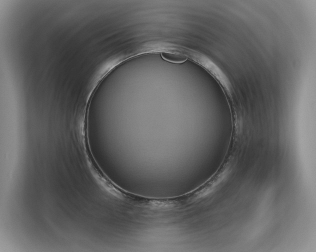 X0000110680954200906121203