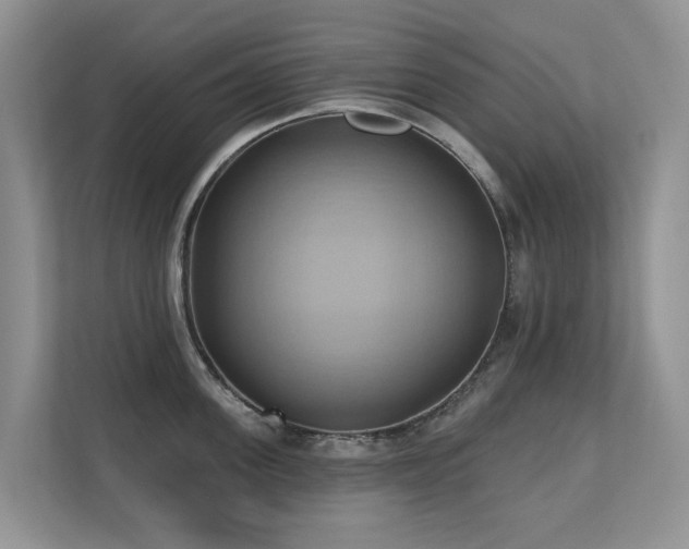 X0000110680955200906121203