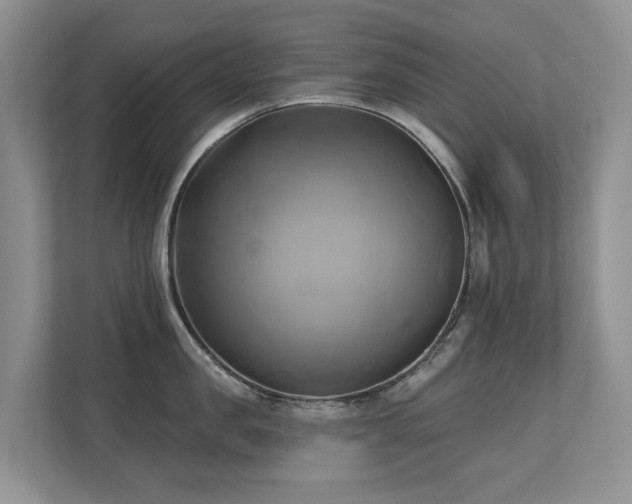 X0000110680957200906121203