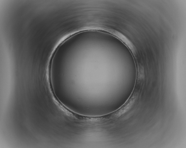 X0000110680958200906121203