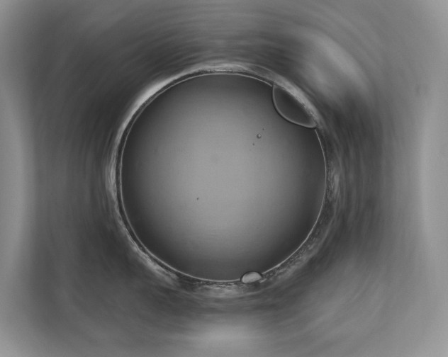 X0000110680959200906121203