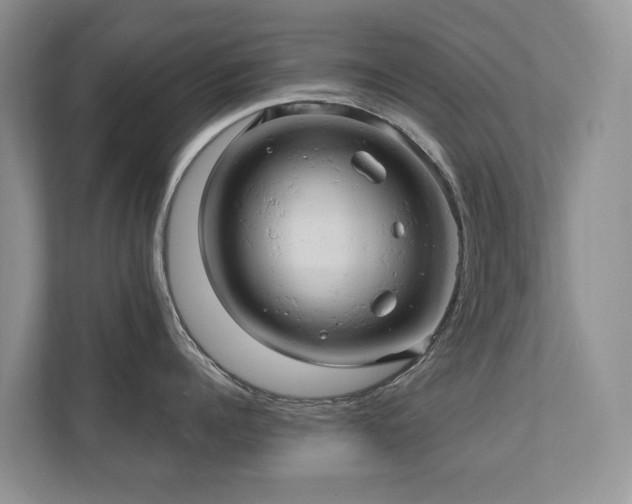 X0000110680960200906121203