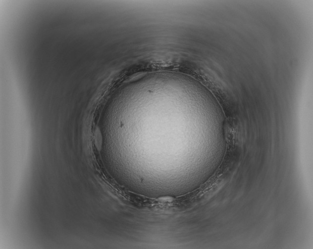 X0000110680961200906121203