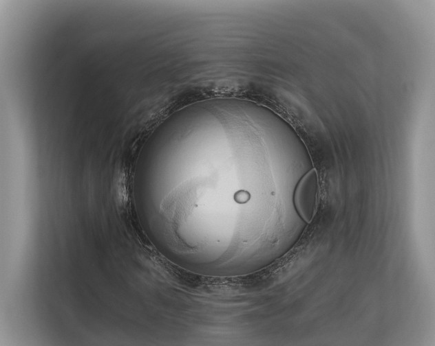 X0000110680962200906121203
