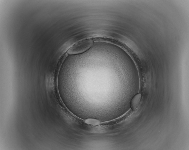 X0000110680969200906121203