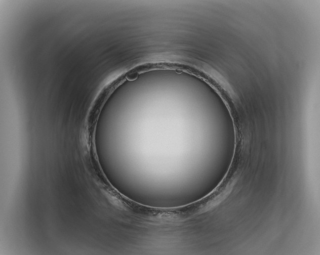 X0000110680974200906121202