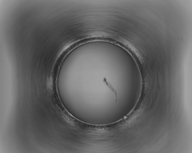 X0000110680975200906121202