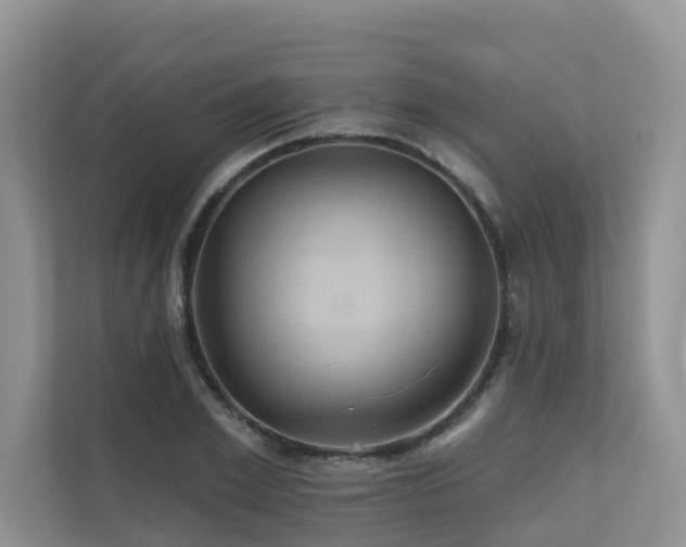 X0000110680981200906121202