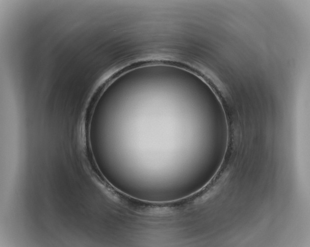 X0000110680982200906121202