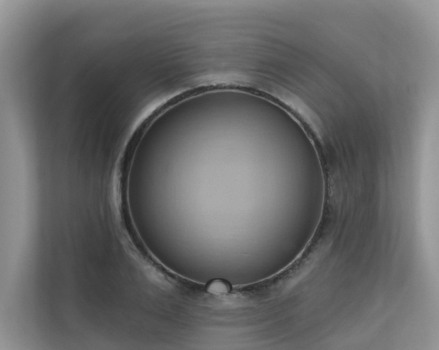 X0000110680983200906121202