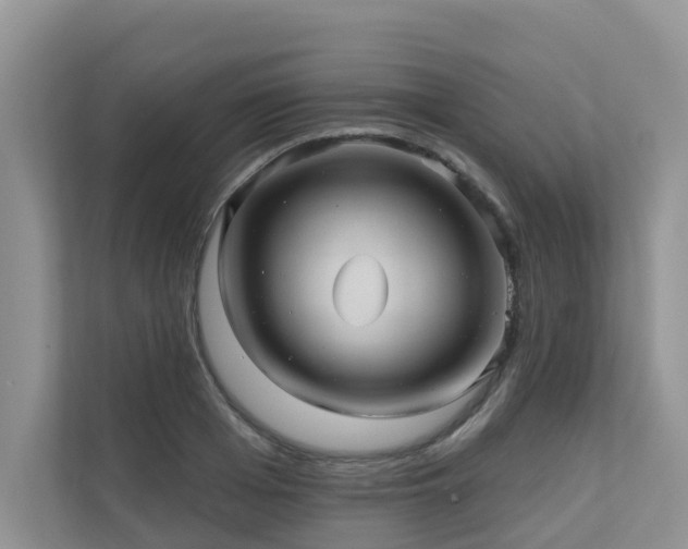 X0000110680985200906121202