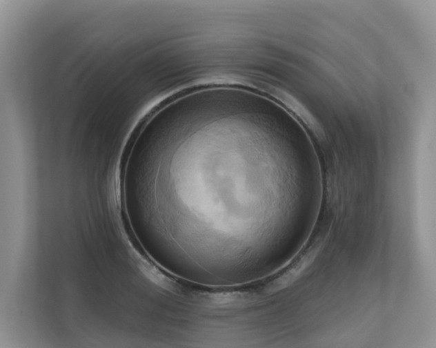 X0000110680988200906121202