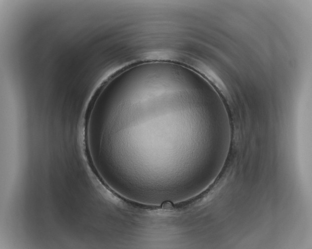 X0000110680992200906121202