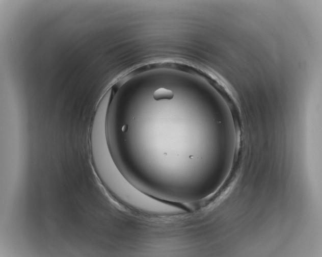 X0000110680993200906121202