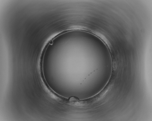 X0000110680995200906121202