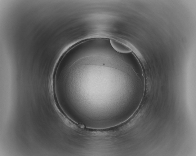 X0000110680996200906121202