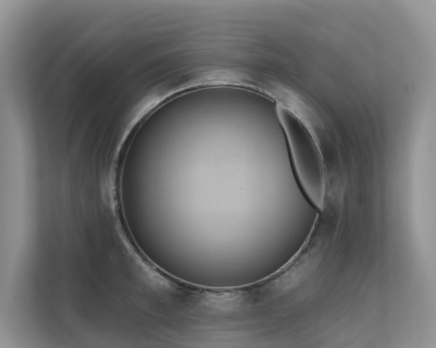 X0000110680997200906121202