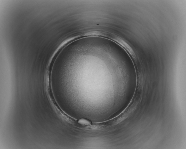X0000110681000200906121202