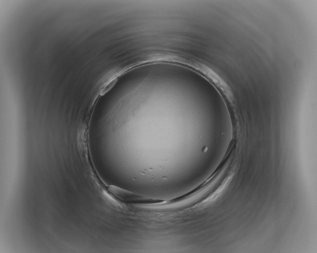 X0000110681001200906121202