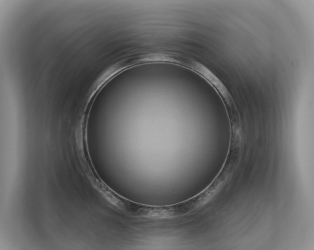 X0000110681002200906121202