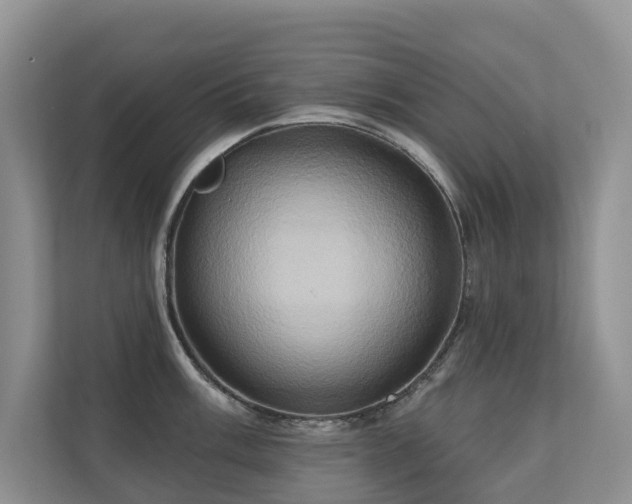 X0000110681003200906121202