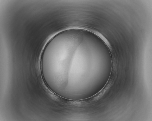 X0000110681004200906121202