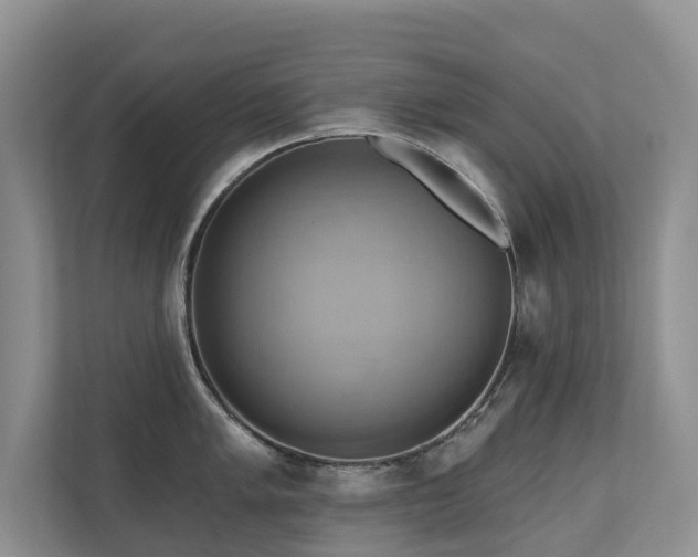 X0000110681005200906121202