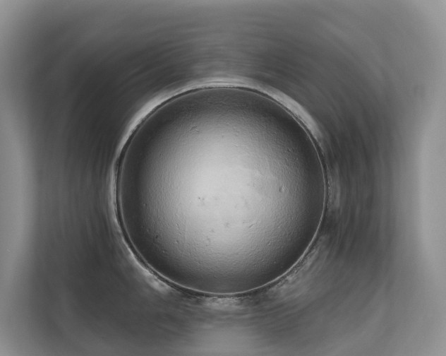 X0000110681006200906121202