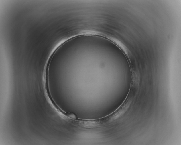 X0000110681007200906121202