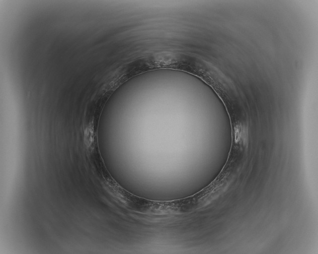 X0000110681011200906121201