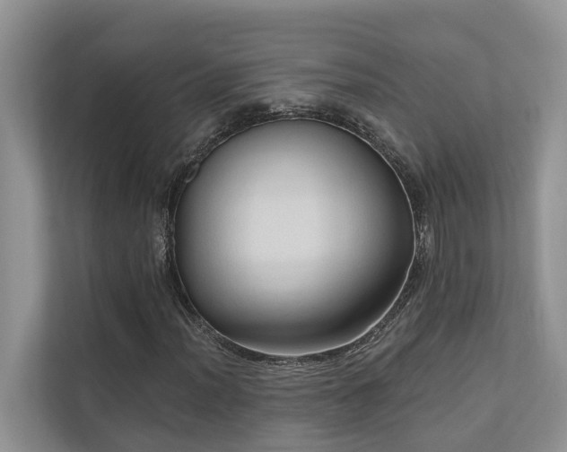 X0000110681012200906121201