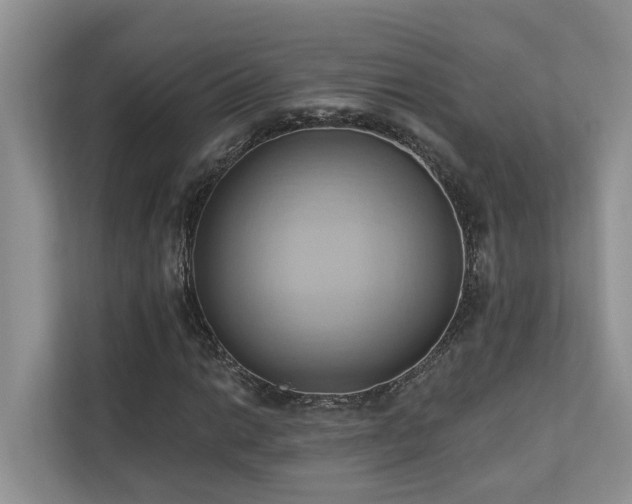 X0000110681014200906121201