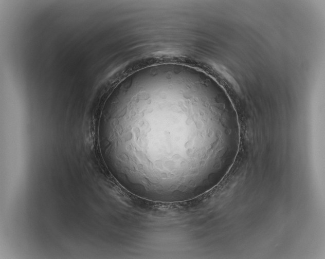 X0000110681015200906121201