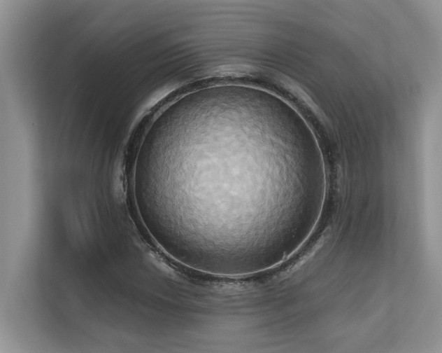 X0000110681018200906121201