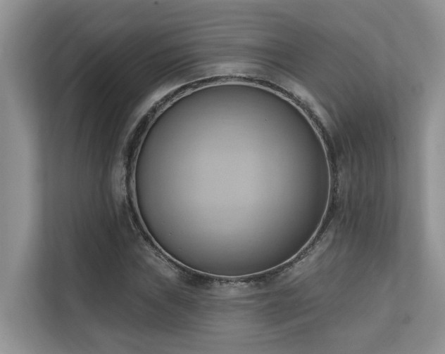 X0000110681019200906121202
