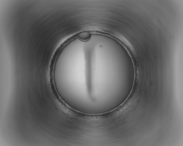 X0000110681020200906121202