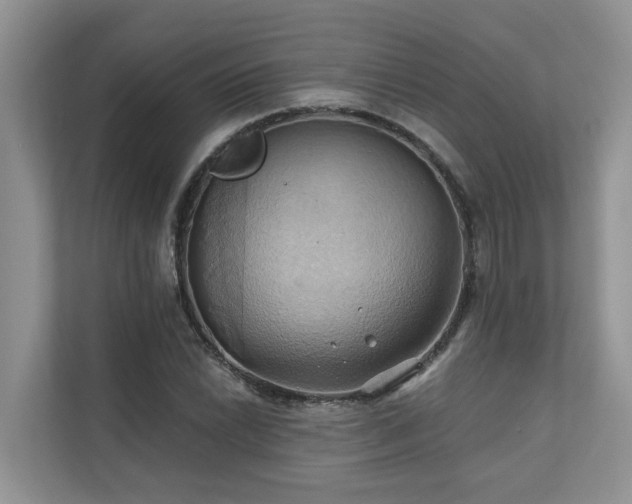 X0000110681022200906121202