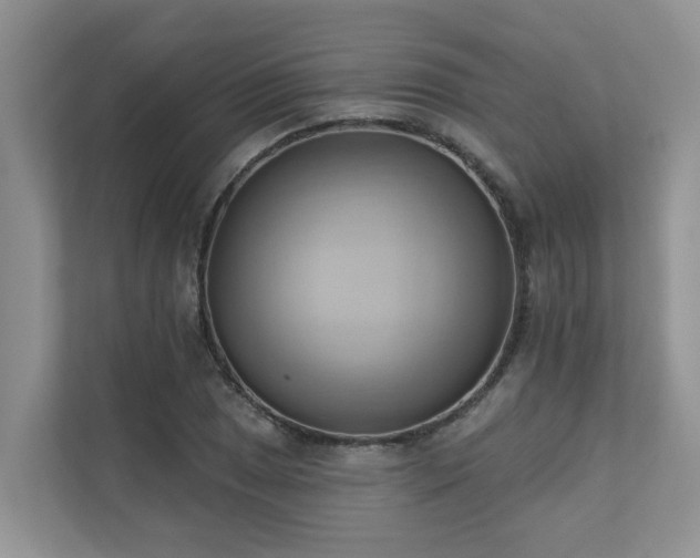 X0000110681025200906121202
