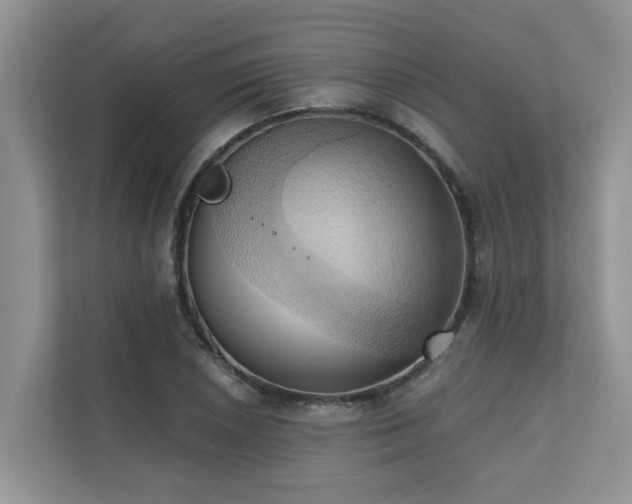 X0000110681026200906121202