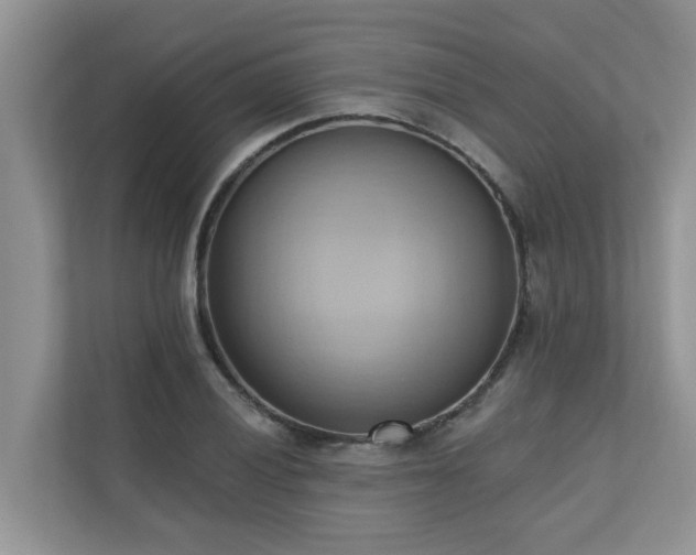 X0000110681028200906121202