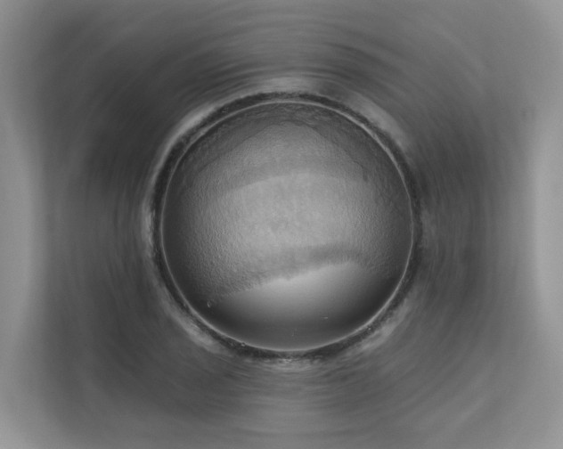 X0000110681029200906121202