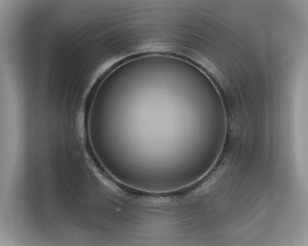 X0000110681030200906121202