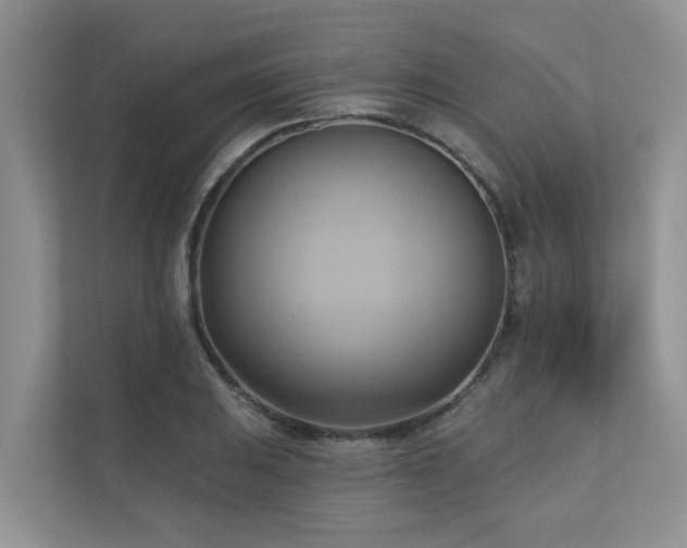 X0000110681031200906121202