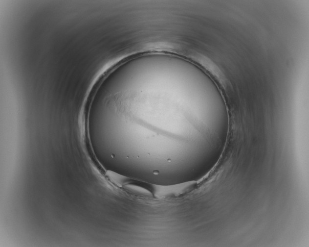 X0000110681032200906121202