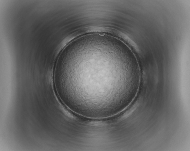 X0000110681033200906121202