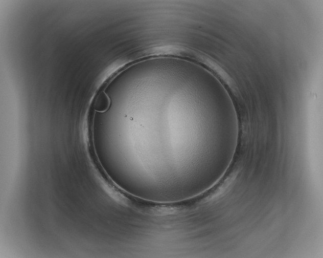 X0000110681034200906121202