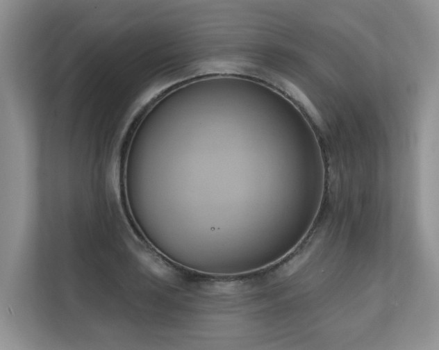 X0000110681035200906121202
