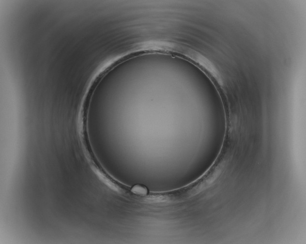 X0000110681037200906121202