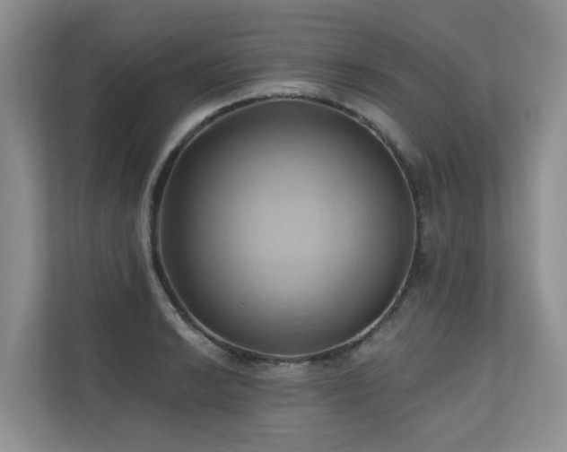 X0000110681038200906121202