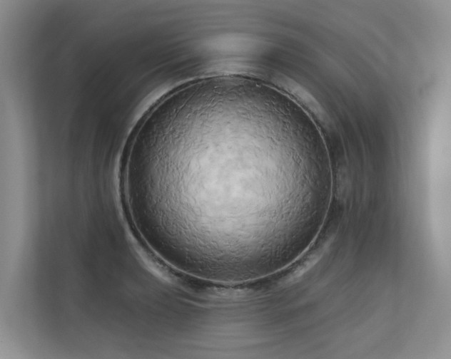 X0000110681039200906121202